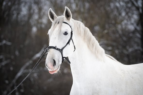 621889658 1217225813889637 5527472124894600320 n.jpg?stp=dst jpg s590x590 tt6& nc cat=110&ccb=1 7& n.jpg