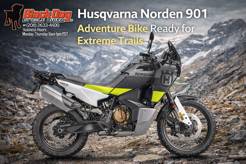 Husqvarna Norden 901 Adventure Bike Ready for Extreme Trails.png