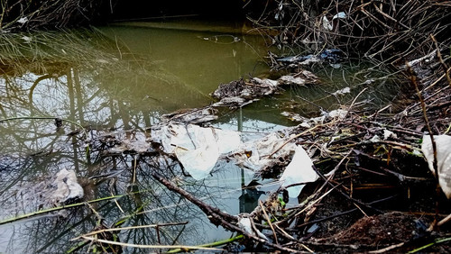 G nZzL2WMAAH4gs?format=jpg.jpg