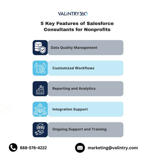 5 Key Features of Salesforce Consultants for Nonprofits .jpg