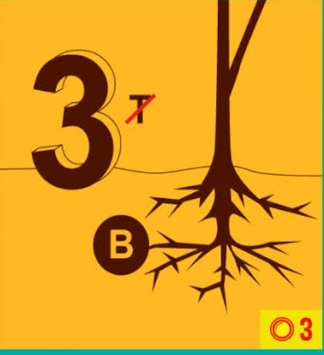 IMG 20260126 144429.jpg