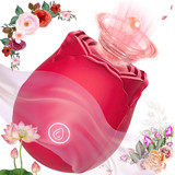 1 61e UT3Jb2L. AC SL1100 