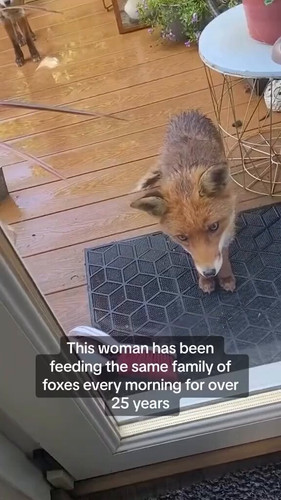 DjK7poXbFsIFk4 3.jpg