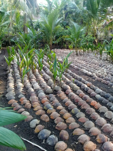 81t0qhcn54L. SL1280 .jpg