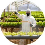 cropped circle image (13).png