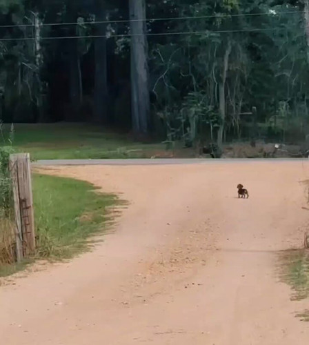 YdxgsRY8UwiiA mT.jpg