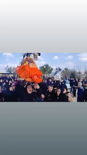 yYW qq7pyTZJibTo.jpg