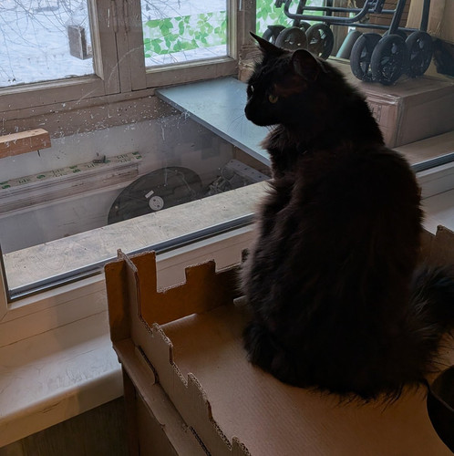 G gqAI WcAAnaVB?format=jpg.jpg