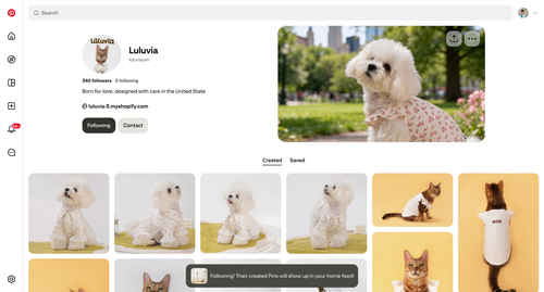 ScreenShot Tool 20260126134822.png