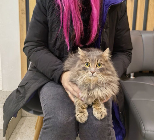 G T1APFW0AAcSqW?format=jpg.jpg