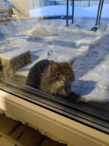 G T0 pWgAAZkqH?format=jpg.jpg