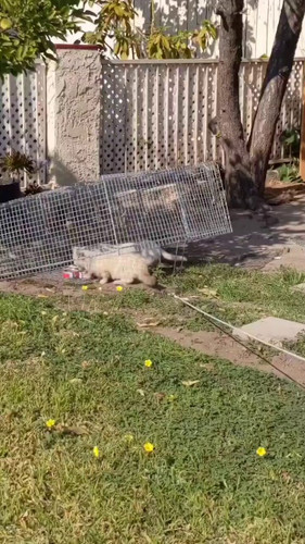 76 n0r SiFIKMw0o.jpg