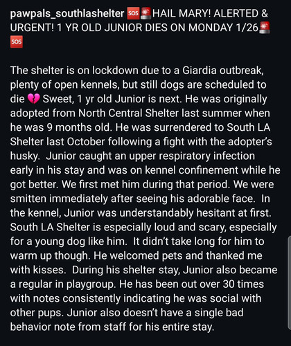 G iWZa1W0AAddFt?format=jpg.jpg