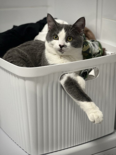 G ggLMKWIAApElk?format=jpg.jpg