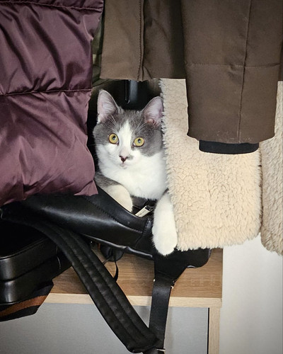 G ggLMDXAAA5u3P?format=jpg.jpg