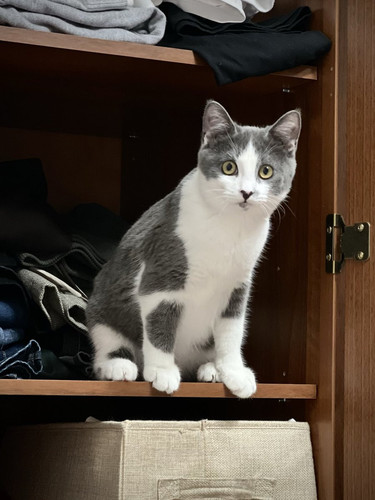 G ggLLsWoAAayCG?format=jpg.jpg