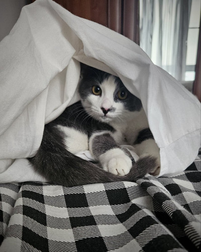 G ggLMUWAAEGHo2?format=jpg.jpg