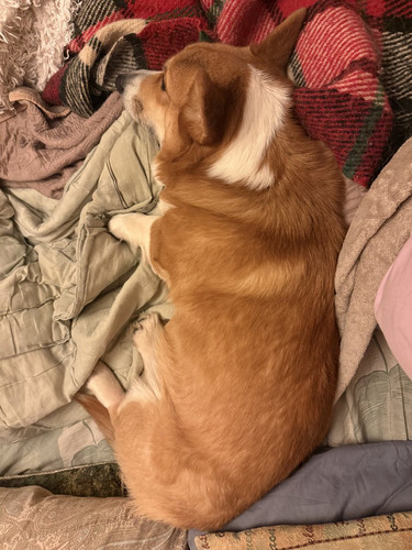 G i lanX0AAf4EI?format=jpg.jpg