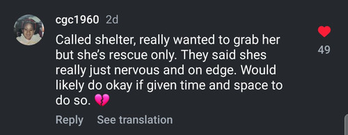 G hstRFXkAAow8O?format=jpg.jpg