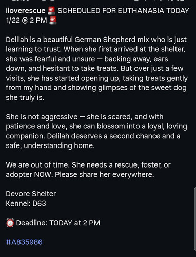 G TSChHW8AAPM8u?format=jpg.jpg