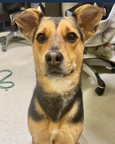 G i5XPMXQAAN19w?format=jpg.jpg