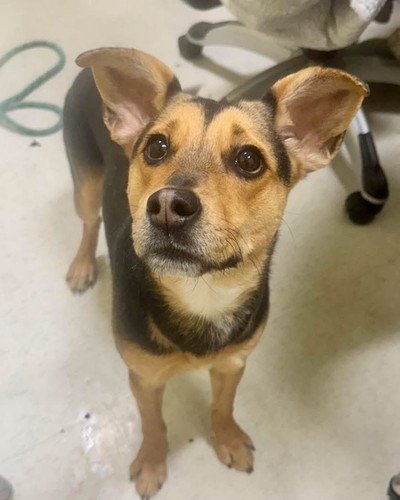 G i5XPOWIAAJfxK?format=jpg.jpg