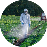 cropped circle image (12).png