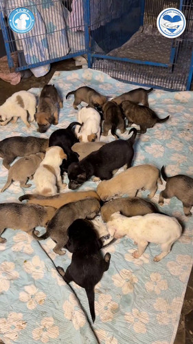 G h2d1GWQAAWLxM?format=jpg.jpg