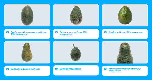 Нестандарт можно использовать до 10% от партии.png