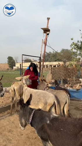 l8HHwOy7Es5vLA h.jpg