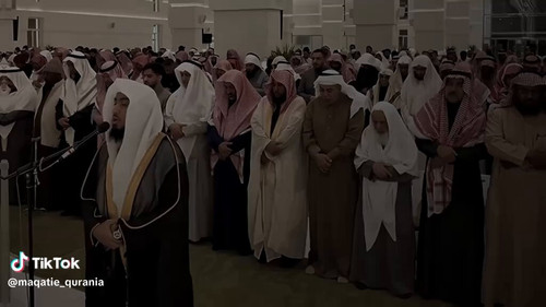 409T2tua tXywkQJ.jpg