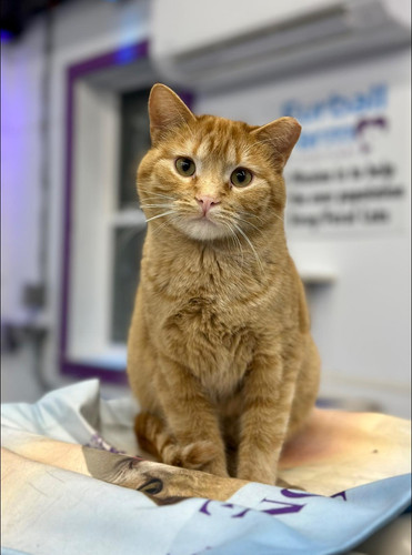 623461121 1380973704071165 7728043180610909399 n.jpg