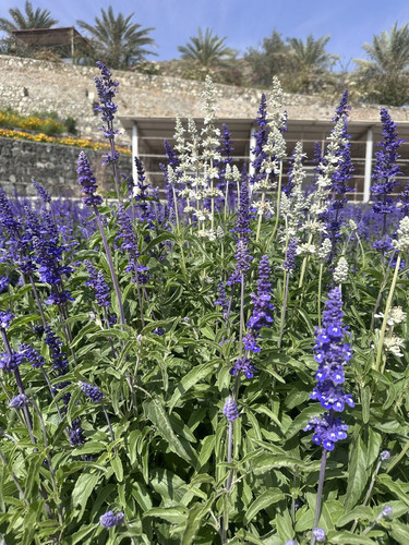 G gpFqUagAA 3fa?format=jpg.jpg