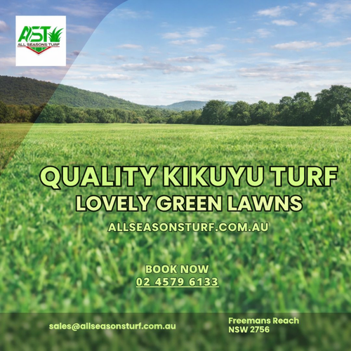 AllSeasonsTurf Quality Kikuyu Turf Lovely Green Lawns.png