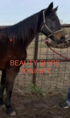 G jBEG8WsAEZho5?format=jpg.jpg