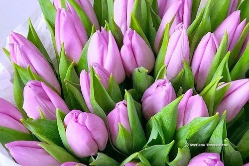 G gVdrzXcAEm Rd?format=jpg.jpg