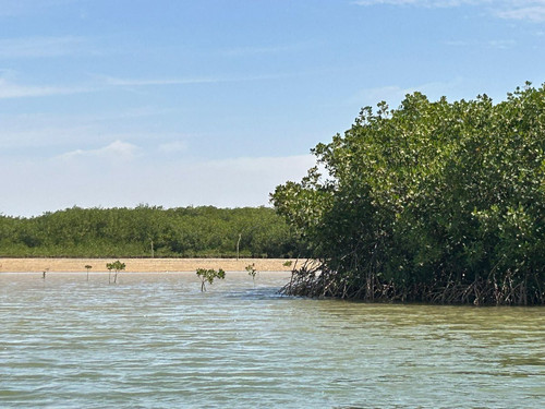 G giEn5WAAA6iRv?format=jpg.jpg