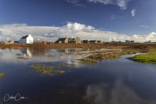 G iJ0CTWMAALtGh?format=jpg.jpg