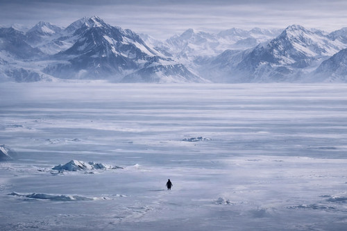 penguin heading for the mountains wallpaper.jpg