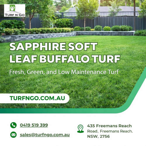 TurfnGo Sapphire Soft Leaf Buffalo Turf.png