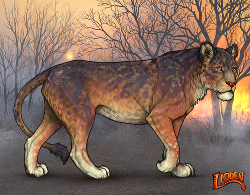 lioden wardrobe 2026 01 26T131039.848.png