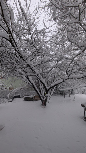 signal 2026 01 26 095522 003.jpg