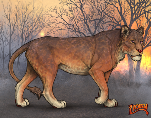 lioden wardrobe 2026 01 26T131002.155.png