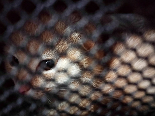 G kuATHXwAAmDli?format=jpg.jpg