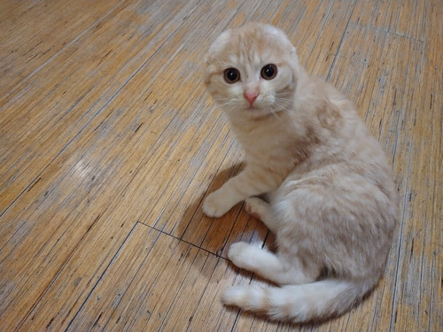 G kuAu5X0AANJjH?format=jpg.jpg