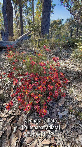 M7MviKmoYrWXz Kd.jpg