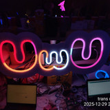 39c3 uwu sign lesbian