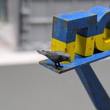 PXL 20260125 001332174.MP~2