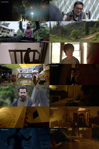 IMG 20260126 212817 225.jpg