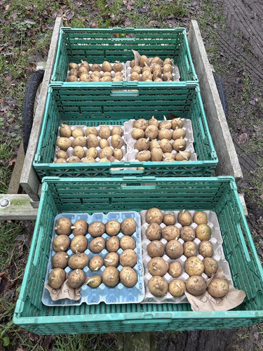 G gtWenX0AA1Fc4?format=jpg.jpg